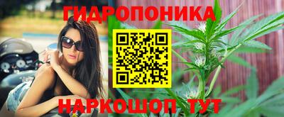 герыч Гатчина