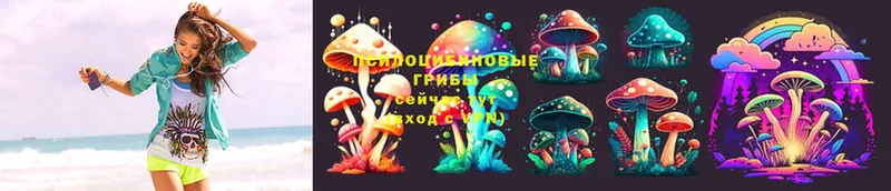 хочу   Хабаровск  Галлюциногенные грибы MAGIC MUSHROOMS 