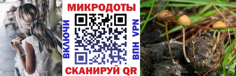 купить Хабаровск Галлюциногенные грибы GOLDEN TEACHER