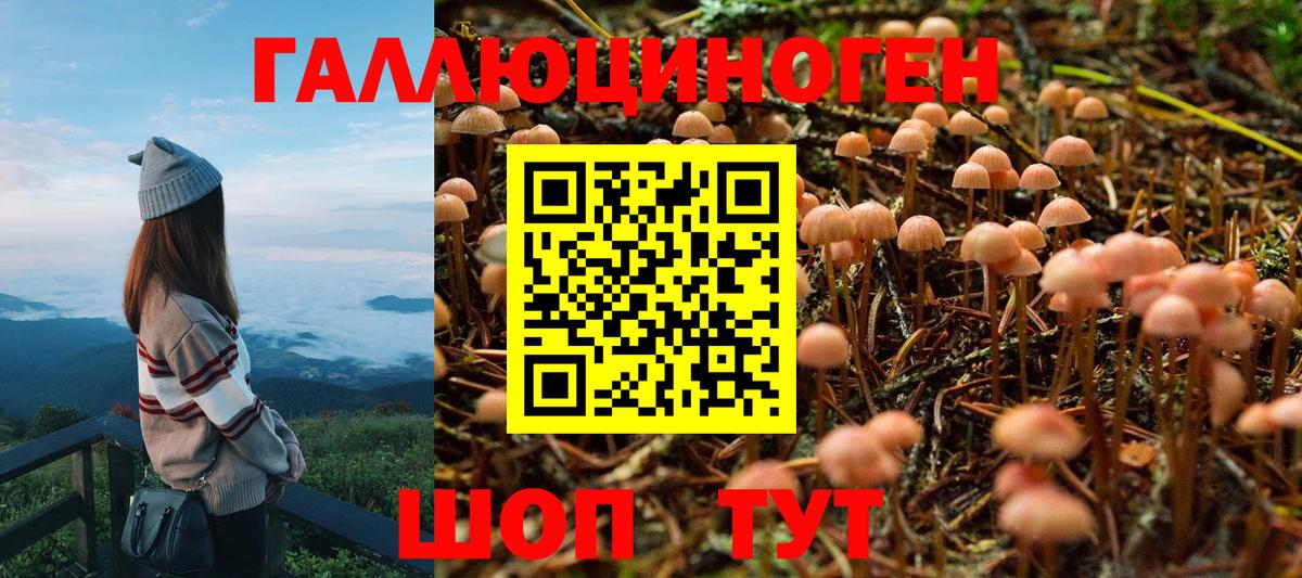 Галлюциногенные грибы Cubensis  Хабаровск 