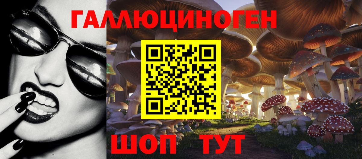 Галлюциногенные грибы мицелий  Вход с VPN  Псилоцибиновые грибы прущие грибы  купить наркотик  Хабаровск 